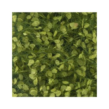 Silhouette Beech foliage - Spring - ca. 27x16,5cm - 1:45+ (920-31)