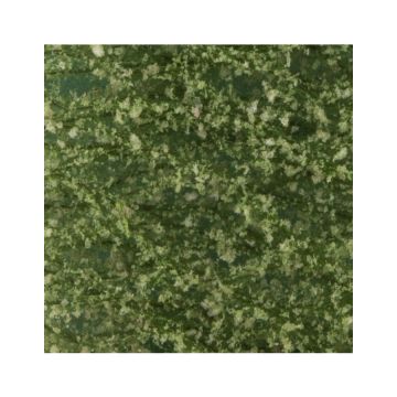 Silhouette Beech foliage - Summer - ca. 63x50cm - N / Z (920-12G)