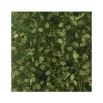 Silhouette Beech foliage - Summer - ca. 27x16,5cm - 1:45+ (920-32)