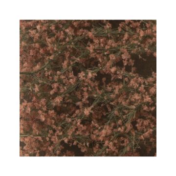 Silhouette Beech foliage - Late fall - ca. 50x31,5cm - N / Z (920-14H)