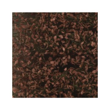 Silhouette Beech foliage - Late fall - ca. 27x16,5cm - H0 / TT (920-24)
