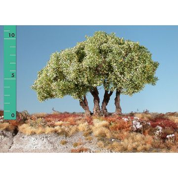 Silhouette High shrubs - Early fall - ca. 12cm - N / Z (350-13)