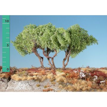 Silhouette High shrubs - Spring - ca. 12cm - N / Z (350-11)