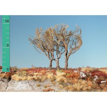 Silhouette High shrubs - Barren - 1 (ca. 10-13cm) - H0 / TT (250-10)