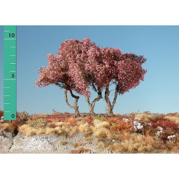 Silhouette High shrubs - Late fall - ca. 12cm - N / Z (350-14)