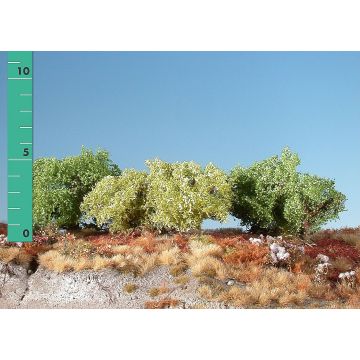 Silhouette Low shrubs - Spring - 0 (< ca. 8cm) - H0 / TT (251-01)