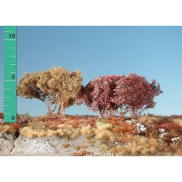 Silhouette Low shrubs - Late fall - ca. 8cm (350-04)