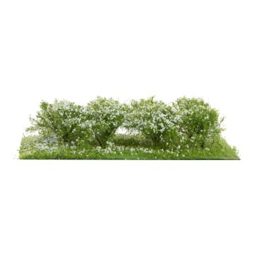 Silhouette Shrubbery - White - 3cm - H0 / TT (252-25)