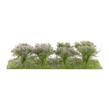 Silhouette Shrubbery - Violet - 3cm - H0 / TT (252-28)