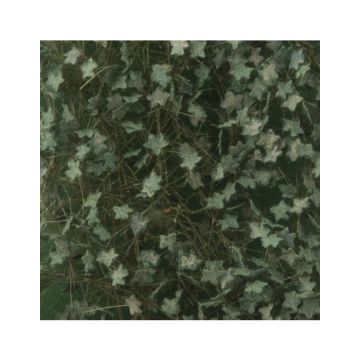 Silhouette Ivy - Summer - ca. 63x50cm - 1:45+ (936-32G)