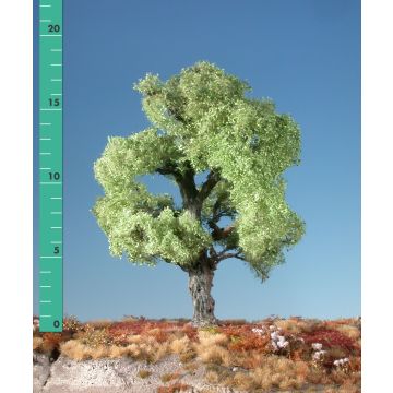 Silhouette Oak - Spring - 0 (< ca. 8cm) (180-01)