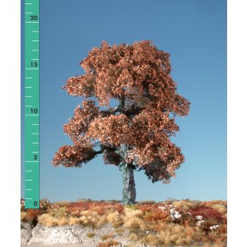 Silhouette Oak - Late fall - ca. 47cm (380-44)