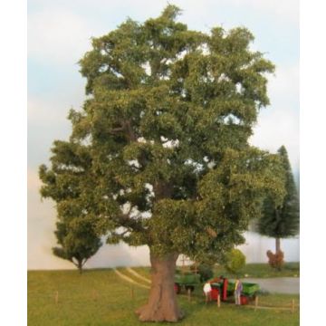 Silhouette Oak Exclusive - Late fall - 35-39cm (381-007-4)