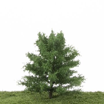 Silhouette Oak - Summer - 12-16cm (280-42)