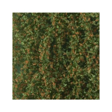 Silhouette Oak foliage - Early fall - ca. 15x4cm - N / Z (980-13S)