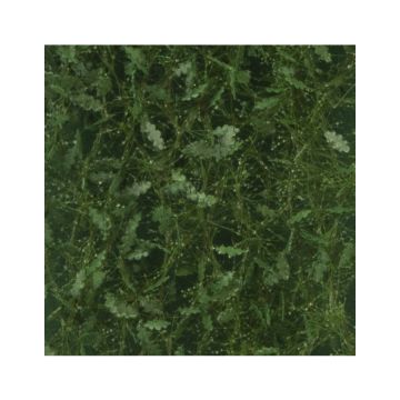 Silhouette Oak foliage - Summer - ca. 15x4cm - 1:45+ (980-32S)