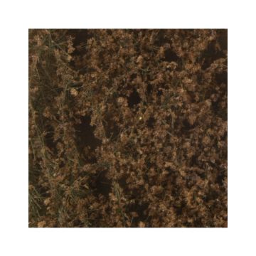 Silhouette Oak foliage - Late fall - ca. 50x31,5cm - N / Z (980-14H)