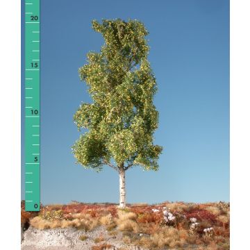 Silhouette Aspen - Early fall - 3 (ca. 22-29cm) - 1:45+ (215-33)