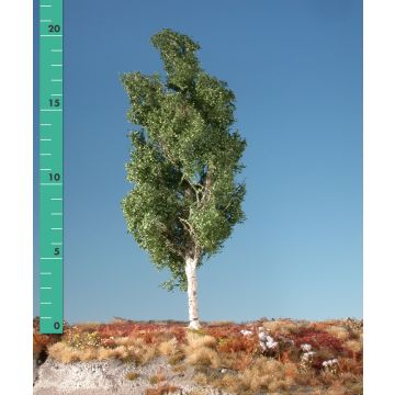 Silhouette Aspen - Summer - 2 (ca. 15-20cm) - H0 / TT (215-22)