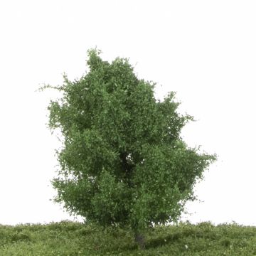 Silhouette Aspen - Summer - 12-16cm (215-42)