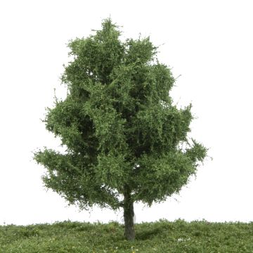 Silhouette Aspen - Summer - 17-22cm (215-52)