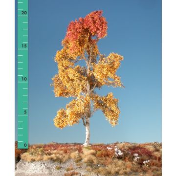 Silhouette Aspen - Late fall - 3 (ca. 22-29cm) - 1:45+ (215-34)