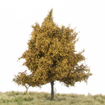 Silhouette Aspen - Late fall - 12-16cm (215-44)