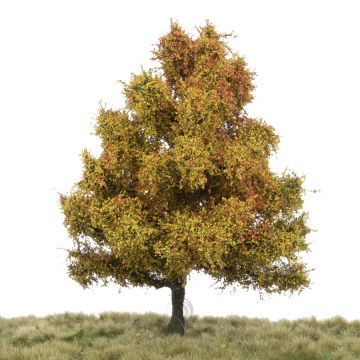 Silhouette Aspen - Late fall - 0 (< ca. 8cm) (215-64)