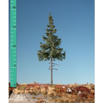 Silhouette Green spruce high trunk - Summer - ca. 65cm (374-52)