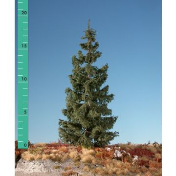 Silhouette Green spruce - Summer - 1 (ca. 10-13cm) - N / Z (273-12)