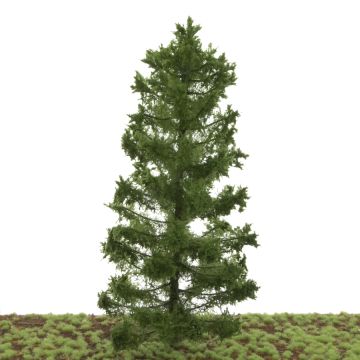 Silhouette Green spruce - Summer - 20-24cm (280-000-0)