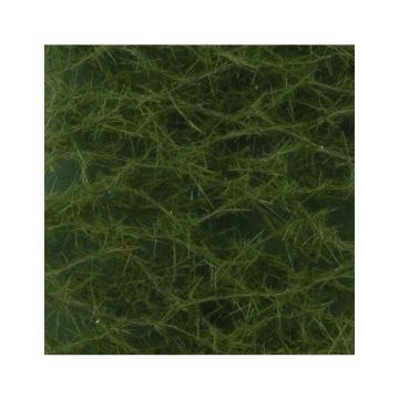 Silhouette Green spruce - Summer - ca. 15x4cm - 1:45+ (973-32S)