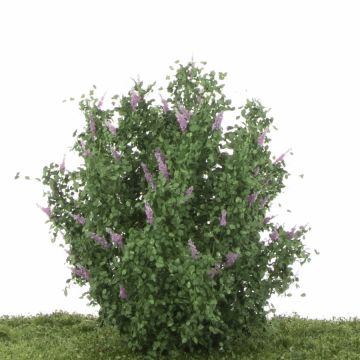 Silhouette Butterfly bush set - Light purple (350-16)