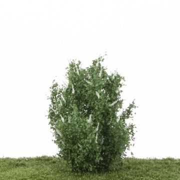 Silhouette Butterfly bush set - White (350-15)