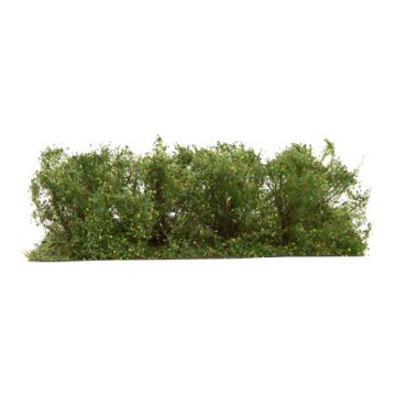 Silhouette Undergrowth - Early fall - 3cm - 1:45+ (252-33)