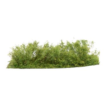 Silhouette Undergrowth - Spring - 3cm - 1:45+ (252-31)