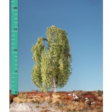 Silhouette Weeping birch - Spring - 0 (< ca. 8cm) (211-01)