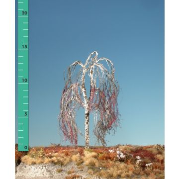 Silhouette Weeping birch - Barren - 1 (ca. 10-13cm) (211-10)