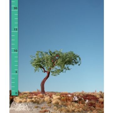 Silhouette Japan ese pine - Summer - 1 (ca. 10-13cm) - N / Z (271-12)