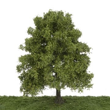 Silhouette Chestnut - Summer - 40-45cm (391-004-2)