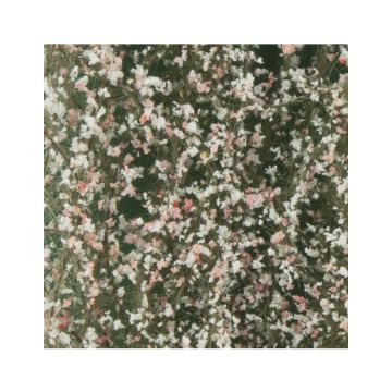 Silhouette Cherry tree blossoms - Spring - ca. 27x16,5cm - H0 / TT (927-21)