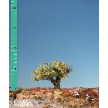 Silhouette Willow stump - Early fall - 0 (< ca. 8cm) (241-03)