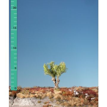 Silhouette Willow stump - Spring - 0 (< ca. 8cm) (241-01)