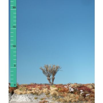 Silhouette Willow stump - Barren - 0 (< ca. 8cm) (241-00)