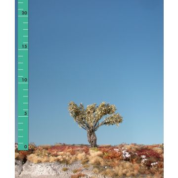 Silhouette Willow stump - Late fall - 0 (< ca. 8cm) (241-04)