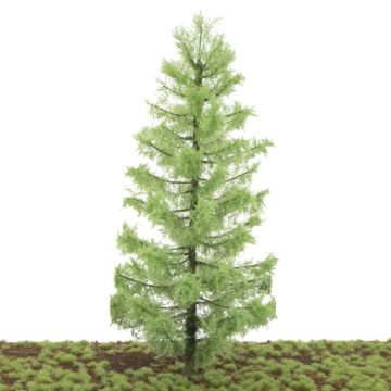 Silhouette Larch - Spring - 25-29cm (281-000-1)