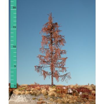 Silhouette Larch - Barren - 3 (ca. 22-29cm) (279-30)