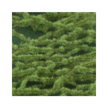 Silhouette Larch leaves - Spring - ca.15x4 cm - 1:45+ (979-31S)