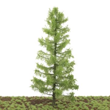 Silhouette Larch - Summer - 30-34cm (282-000-2)
