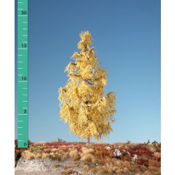 Silhouette Larch - Late fall - 1 (ca. 10-13cm) - N / Z (279-14)